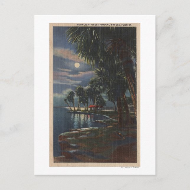 Moonlight on a Florida BeachFlorida Postcard (Front)