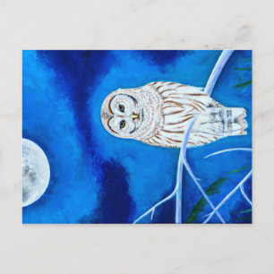 Moonlight Owl Postcard