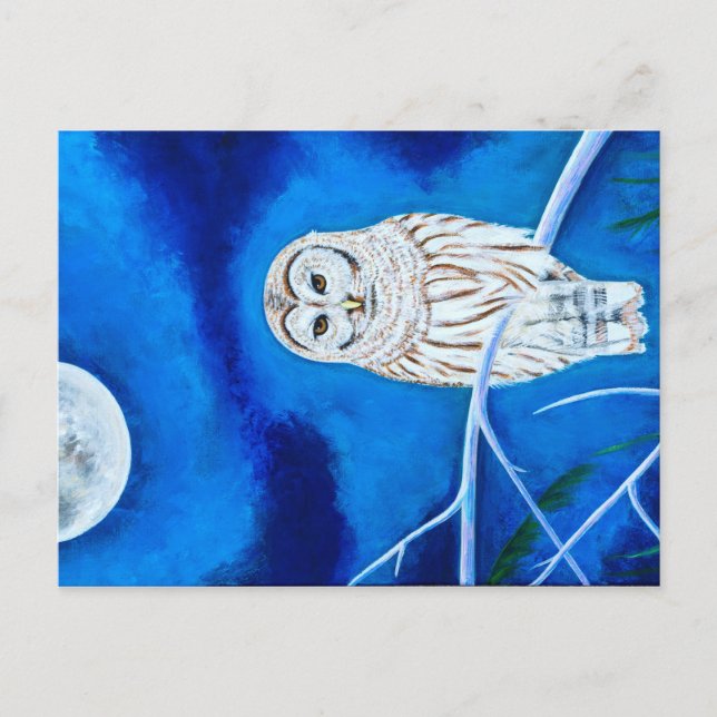 Moonlight Owl Postcard (Front)