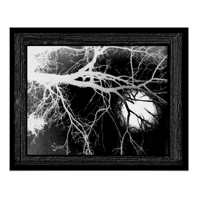 Moonlight Poster (Front)