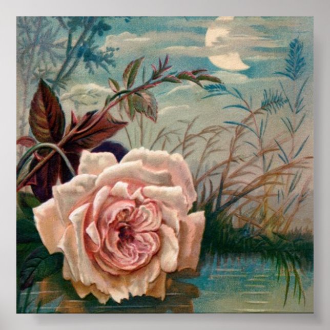 Moonlight Rose Serenade Poster (Front)