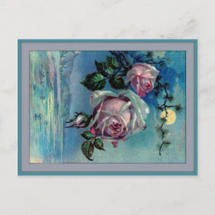 Moonlight Roses A Postcard