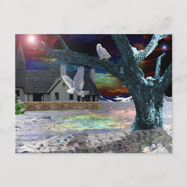 Moonlight shadow.. postcard (Front)