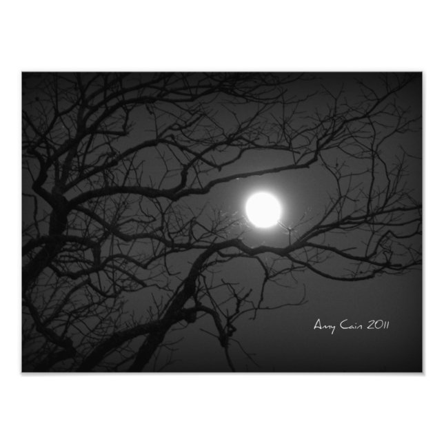 Moonlight through the trees photo print (Front)