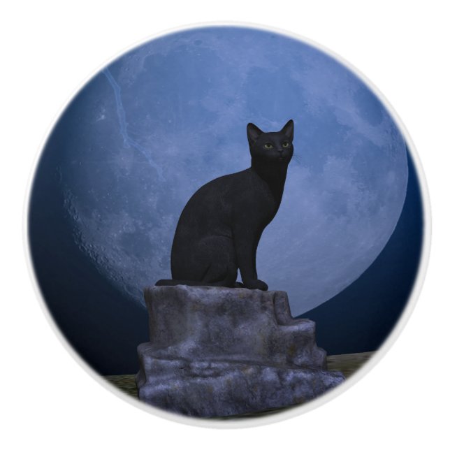 Moonlit Cat Ceramic Knob (Front)