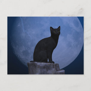 Moonlit Cat Postcard