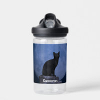 Moonlit Cat