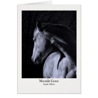 Moonlit Grace