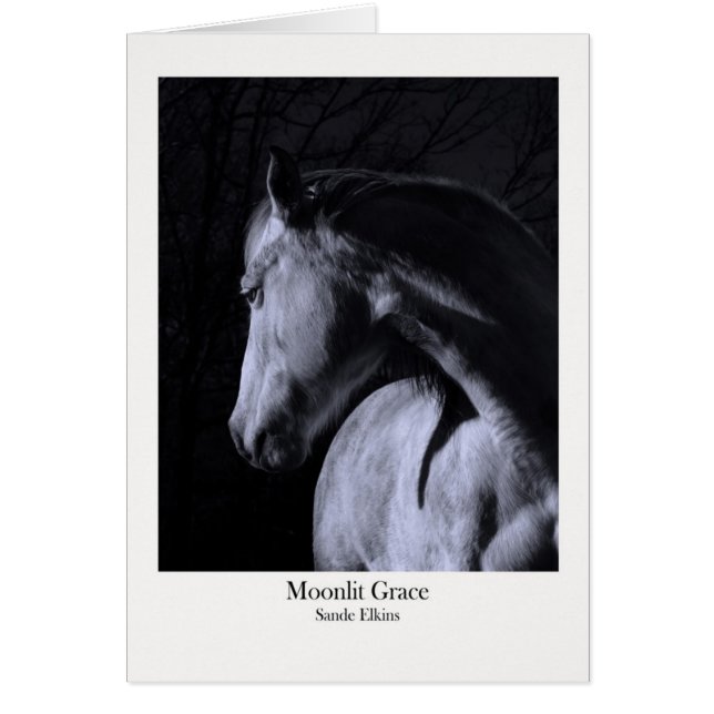 Moonlit Grace (Front)