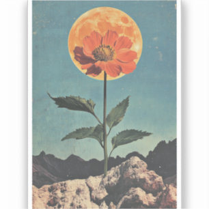 Moonlit Orange Bloom - Vintage Boho Charm (2)