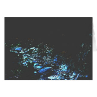 Moonlit Riverbed