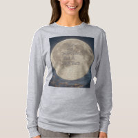 "Moonlit Truth – Shine Whole"