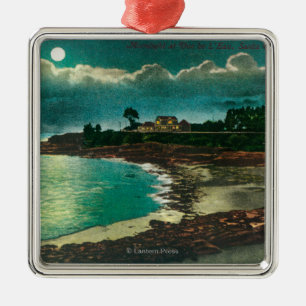 Moonlit view of the Vue de l'EauSanta Cruz, CA Metal Tree Decoration