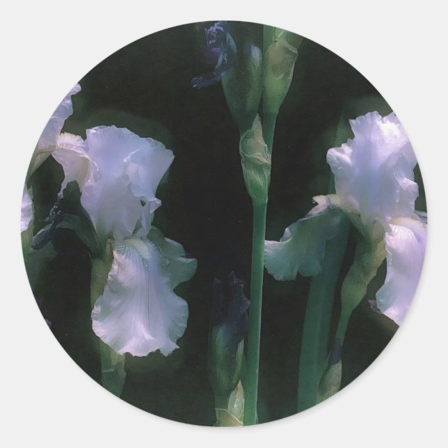 Moonlit White Irises in Bloom Classic Round Sticker (Front)