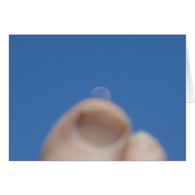 Moonrise  2014 (Front Horizontal)