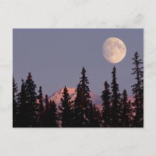 Moonrise Early Winter   Anchorage, Alaska Postcard