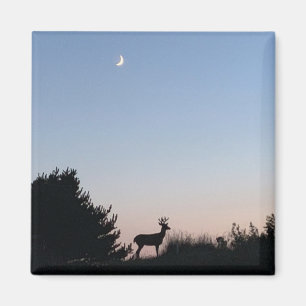 Moonrise Magic Magnet