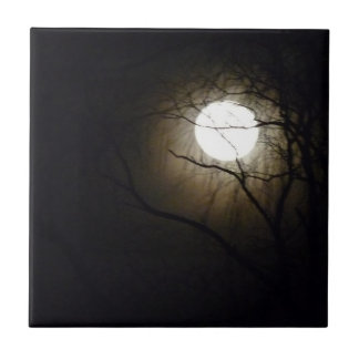 Moonrise Tile