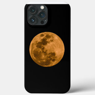 Moonscape iPhone 13 Pro Max Case