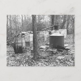 Moonshine Still in the Woods, 1931 Postcard