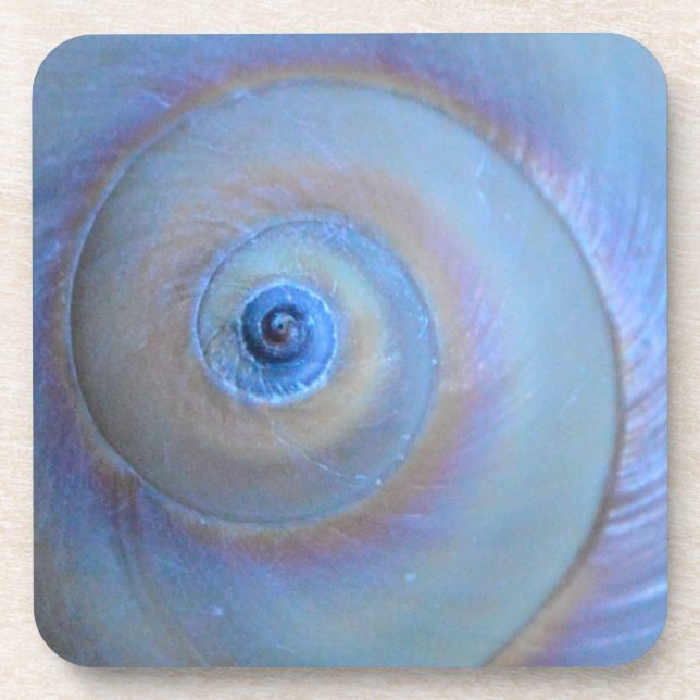 Moonsnail Closeup4 Coaster (Front)