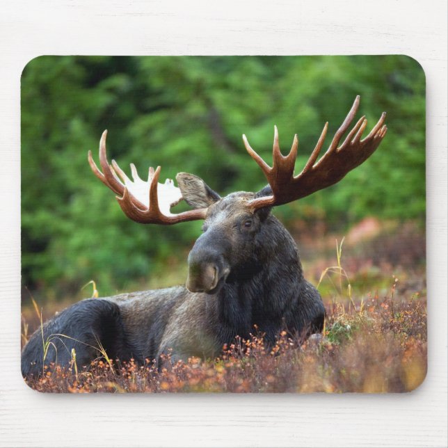 Moooose! Mouse Mat (Front)