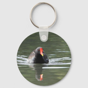 Moorhen and Reflection Key Ring