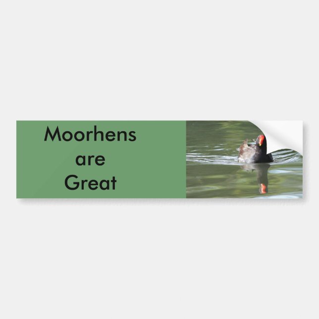 Moorhen Bumper Sticker (Front)
