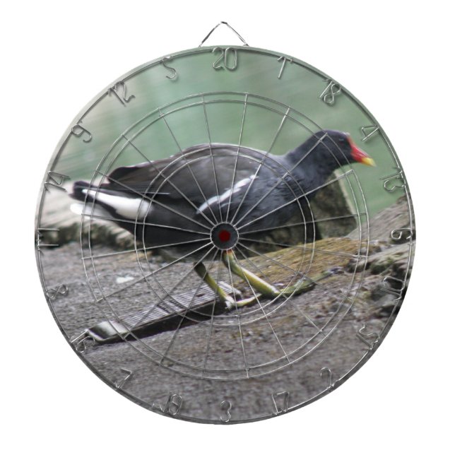 Moorhen Dart Board (Front)
