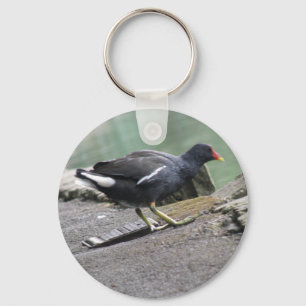 Moorhen Keychain