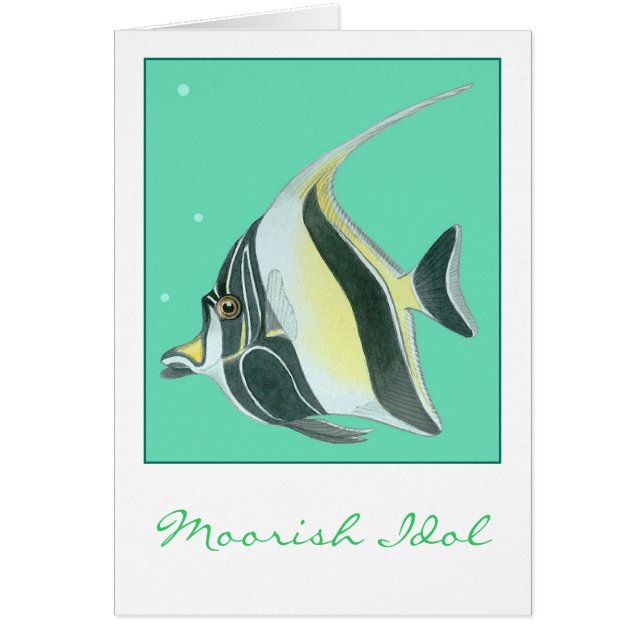 Moorish Idol (Front)