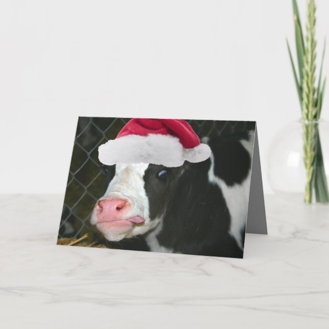 Moory Cow Christmas Holiday Card (Front)