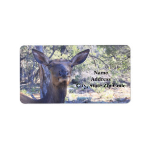 Moose Address Labels