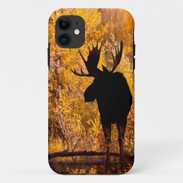 Moose (Alces Alces) Bull In Golden Willows 2 Case-Mate iPhone Case (Back)