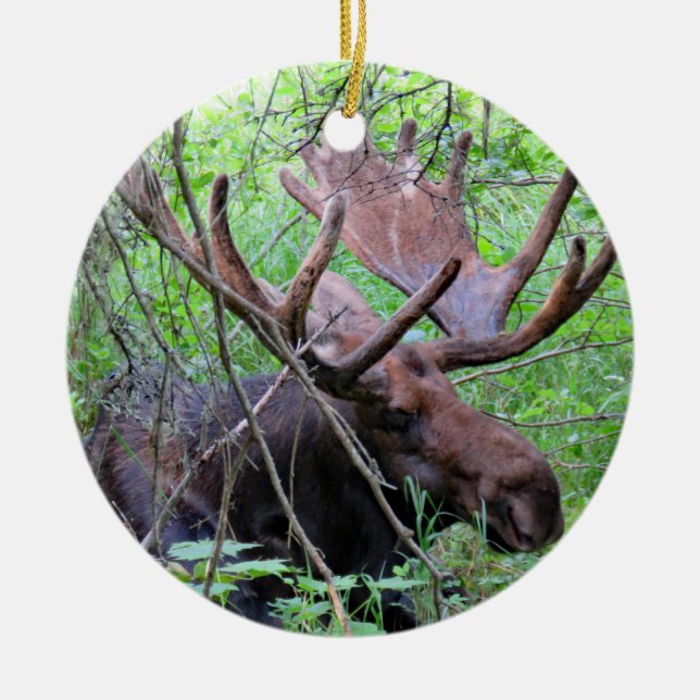 Moose and Loon Ceramic Tree Decoration (Front)