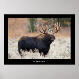 Moose and Squirrel "TEAMWORK" Motivational Poster