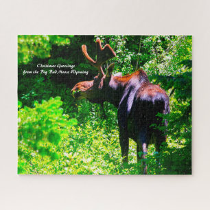 Moose at Grand Tetons. Christmas Greetings Jigsaw Puzzle