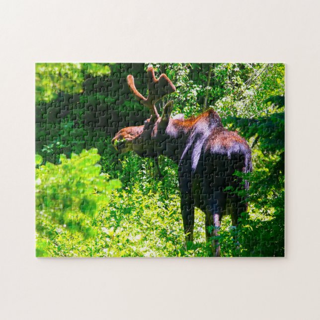 Moose at Grand Tetons. Jigsaw Puzzle (Horizontal)