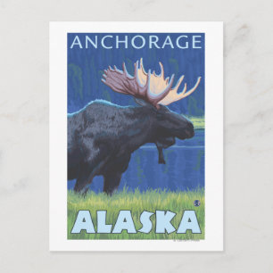 Moose at Night - Anchorage, Alaska Postcard