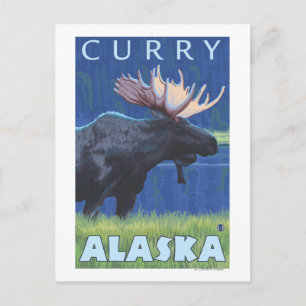 Moose at Night - Curry, Alaska Postcard