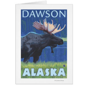 Moose at Night - Dawson, Alaska