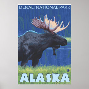 Moose at Night - Denali Nat'l Park, Alaska Poster