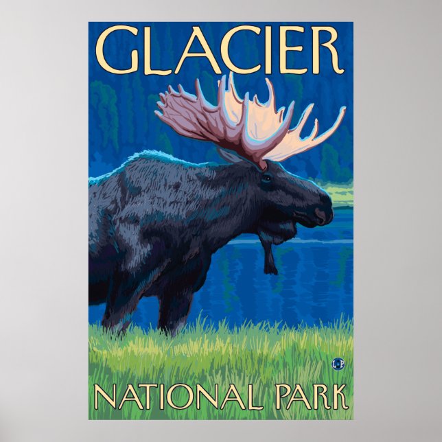 Moose at Night - Glacier National Park, MT Poster (Front)