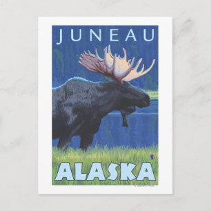 Moose at Night - Juneau, Alaska Postcard