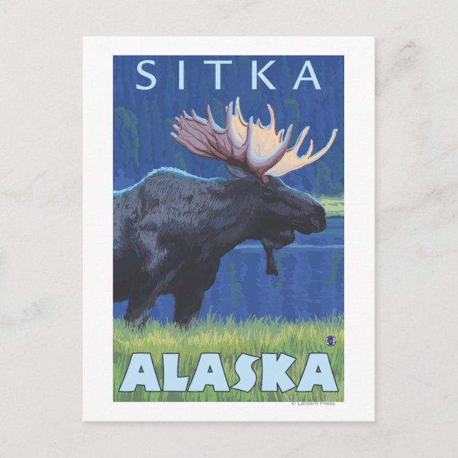 Moose at Night - Sitka, Alaska Postcard (Front)