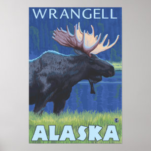 Moose at Night - Wrangell, Alaska Poster
