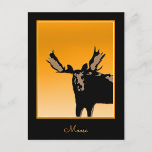 Moose at Sunset  - Original Wildlife Art Postcard