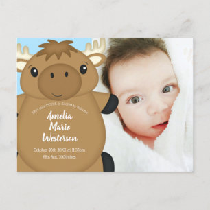 Moose Baby Shower Blue Postcard