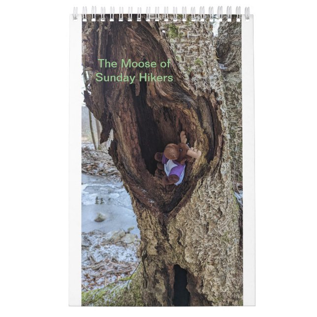 Moose Calendar (Cover)