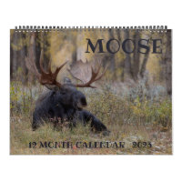 Moose Calendar - Large Size